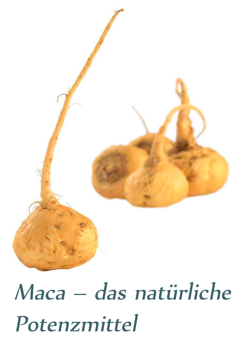 Maca - das natürliche Potenzmittel